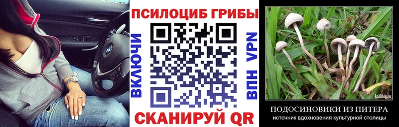 Галлюциногенные грибы прущие грибы  Тосно 