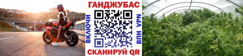 блэк спрут ONION  Тосно  МАРИХУАНА план 